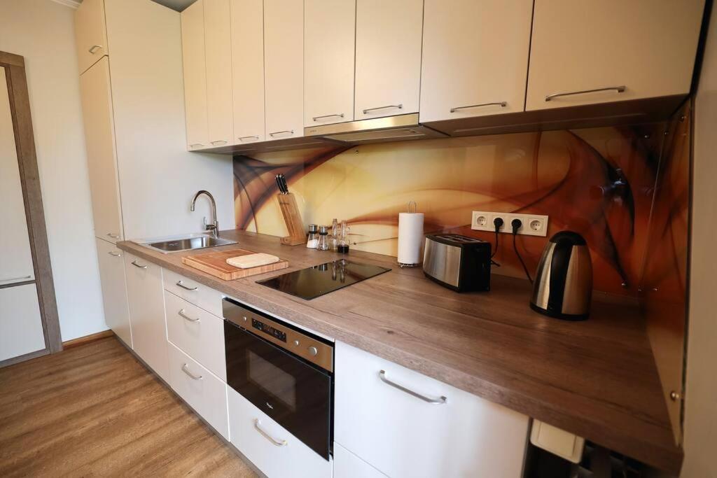 Greenland Apartments Cēsis Kültér fotó