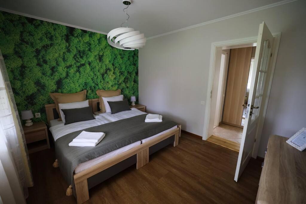 Greenland Apartments Cēsis Kültér fotó